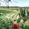 معرفی ۵ تفریح لاکچری در سفر به بالی