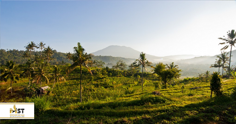 اقامت و گردش در دره سایدمِن بالی