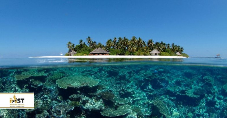 ۷ مکان عالی برای غواصی در مالدیو