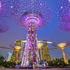 شش تفریح جذاب و خانوادگی در شب‌های سنگاپور