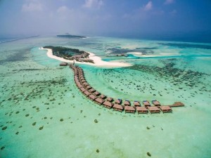 hotels-Maldives-Cocoon-87301682-result-e44c25902450a1277b9e6c18ffbb1521.jpg