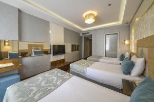 hotels-turkey-istanbul-Grand-Star-190648120-e44c25902450a1277b9e6c18ffbb1521.jpg