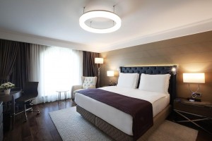 hotels-turkey-istanbul-Radisson-Blu-Sisli-28047400-e44c25902450a1277b9e6c18ffbb1521.jpg
