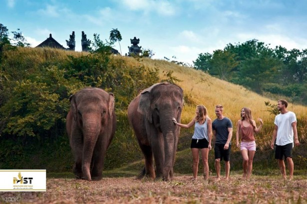 تفریح با فیل‌ها در سفر به بالی
