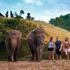 تفریح با فیل‌ها در سفر به بالی
