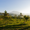 اقامت و گردش در دره سایدمِن بالی