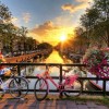 راهنمای دوچرخه سواری در آمستردام هلند
