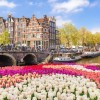 ۱۱ مکان زیبا در هلند که باید ببینید
