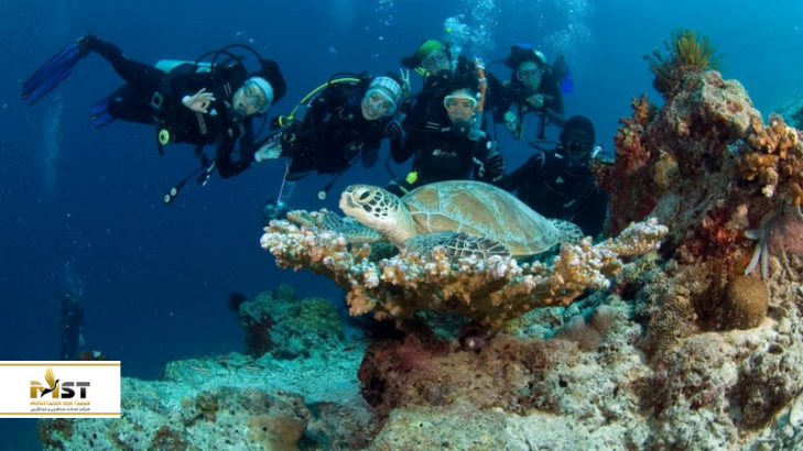 ۵ مدرسه‌ی غواصی پنانگ برای دیدن جهان زیر آب