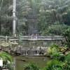 برای ثبت خاطره‌ای بی‌تکرار ، به پارک پرندگان و پروانه‌های کوالالامپور بروید