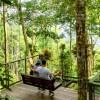  طبیعت‌گردی خاطره‌انگیز در پارک ملی پنانگ