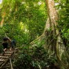 شگفتی‌های طبیعت مالزی (بخش اول)