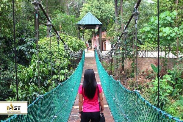 راهنمای پیاده روی رویایی در جنگل‌های مالزی