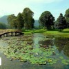 بهترین باغ‌ها و پارک‌ها در مالزی 