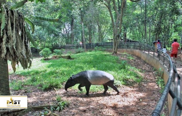 تور مالزی فرصتی برای بازدید از باغ‌وحش مالاکا و مزرعه کروکودیل‌ها