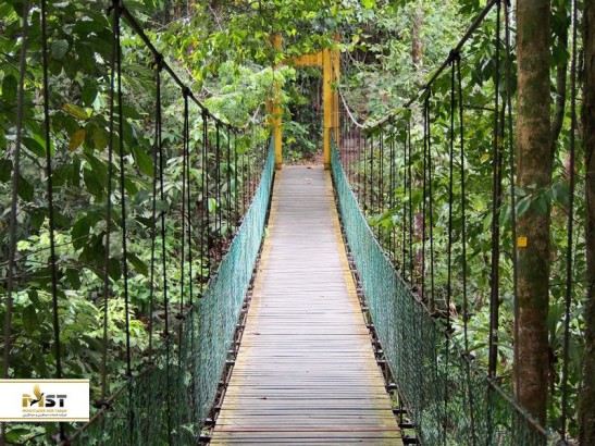 طبیعت‌گردی در دل پارک‌های ملی مالزی