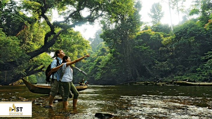 سفر یک روزه به جنگل بارانی تامان نگارا