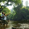 سفر یک روزه به جنگل بارانی تامان نگارا