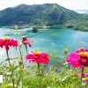 آب و هوای فیلیپین برای سفر در بهار