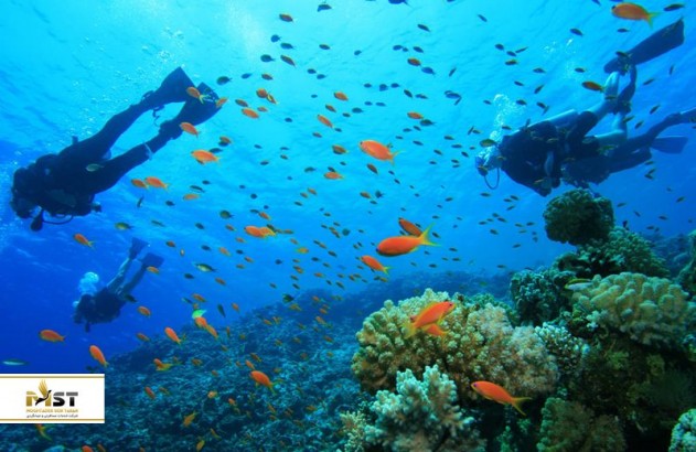 زیباترین نقاط فیلیپین برای غواصی در آب‌های بی‌کران اقیانوسی