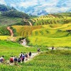بهترین تجارب اکوتوریسم در ویتنام