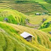 طبیعت و فرهنگ زیباترین روستاهای ویتنام