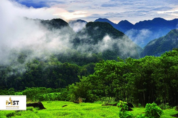 بازدید از بهترین پارک‌های ملی ویتنام