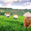 ۱۵ نقطه جذاب در شمال ویتنام