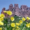 بازدید از قلعه تاریخی آمبر ارمنستان