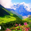نوروز 99 و گردش در دره گل‌های ارمنستان