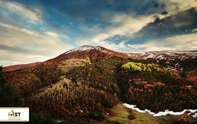 معرفی زیباترین جنگل‌های ارمنستان