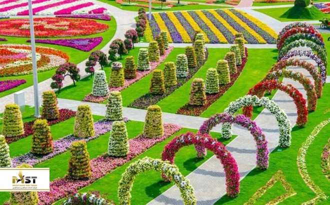 Miracle Garden، معجزه‌ای رنگارنگ در دل دبی