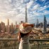 جاهای دیدنی دبی