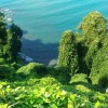 باغ گیاه‌شناسی باتومی، بهشت گم شده گرجستان