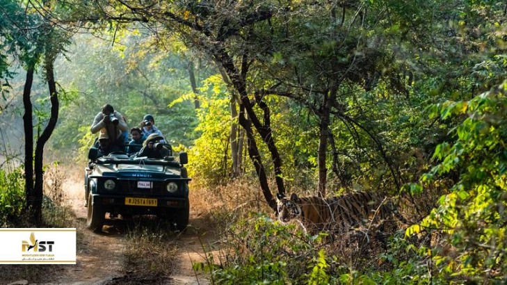 روزی هیجان‌انگیز در پارک ملی رانتامبور هند 