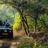 روزی هیجان‌انگیز در پارک ملی رانتامبور هند 