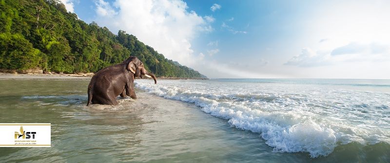 راهنمای زیباترین سواحل هند در سال ۲۰۲۲