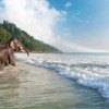 راهنمای زیباترین سواحل هند در سال ۲۰۲۲