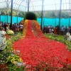 معرفی ۵ باغ زیبای کشور پهناور هند برای گردشگران زیبادوست