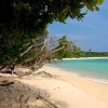 جزایر شگفت‌انگیز هند برای تعطیلاتی خاطره‌انگیز 