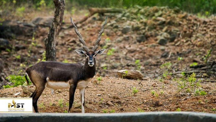 بازدید از باغ وحش‌های هند برای علاقه‌مندان به حیوانات