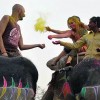 جشنواره جذاب فیل‌های جیپور هند