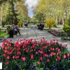 جذاب‌ترین پارک‌های ایران: بخش اول
