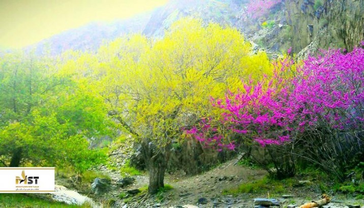 گشت و گذار در دره ارغوان در مشهد