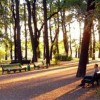 ۵ پارک شهری معروف سن پترزبورگ؛ شهر قدم‌زدن‌ها زیر سایه‌ی درختان کهنسال