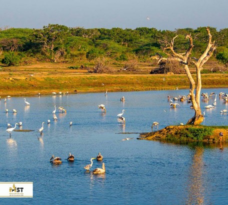 زیباترین پارک های ملی سریلانکا