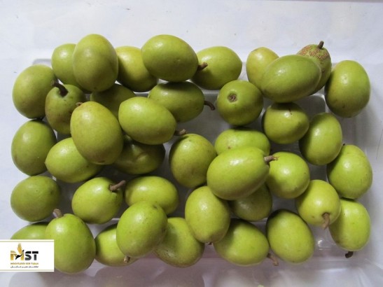 میوه‌های خاص سریلانکا را از دست ندهید