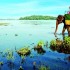 کندی؛ سرزمین آرامش و مدیتیشن در دل طبیعت سریلانکا