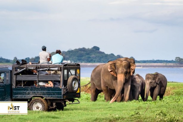 چرا سریلانکا باید مقصد بعدی سفر شما باشد