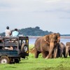 چرا سریلانکا باید مقصد بعدی سفر شما باشد